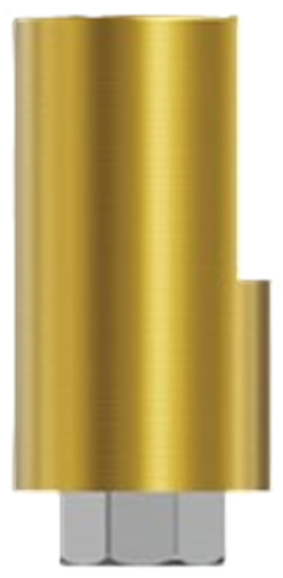 NeoBiotech - IT Regular-Neck Metal Scanbody [ITSB4809R] önizlemesi